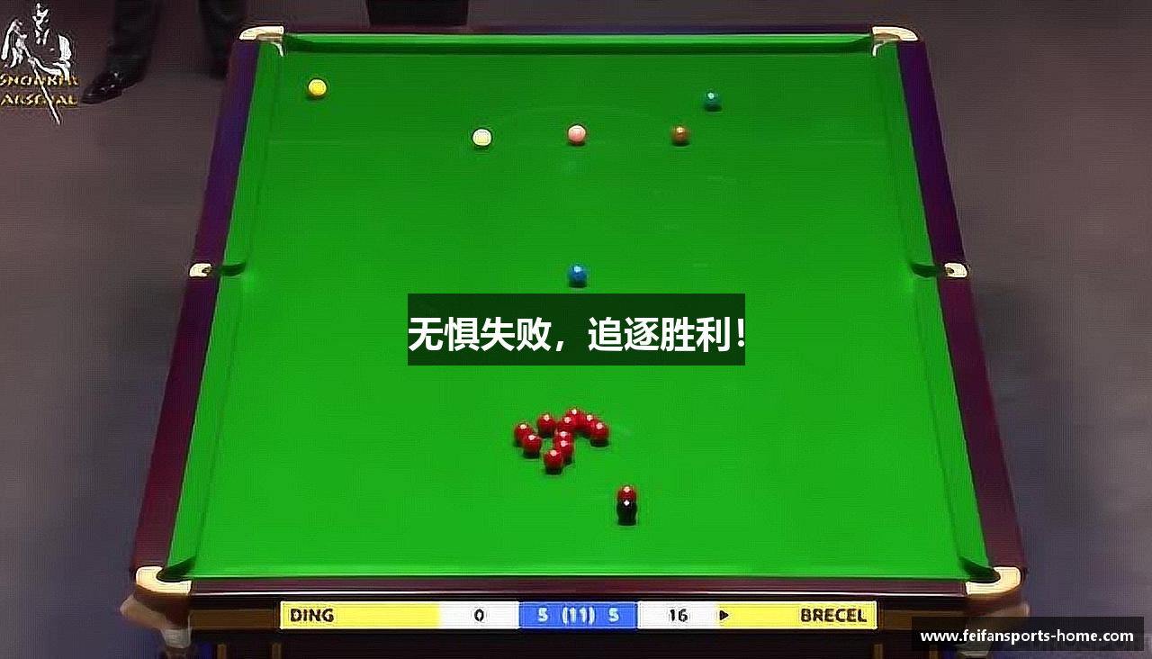 无惧失败，追逐胜利！
